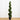 6' Rosemary Spiral Tree (Indoor/Outdoor)
