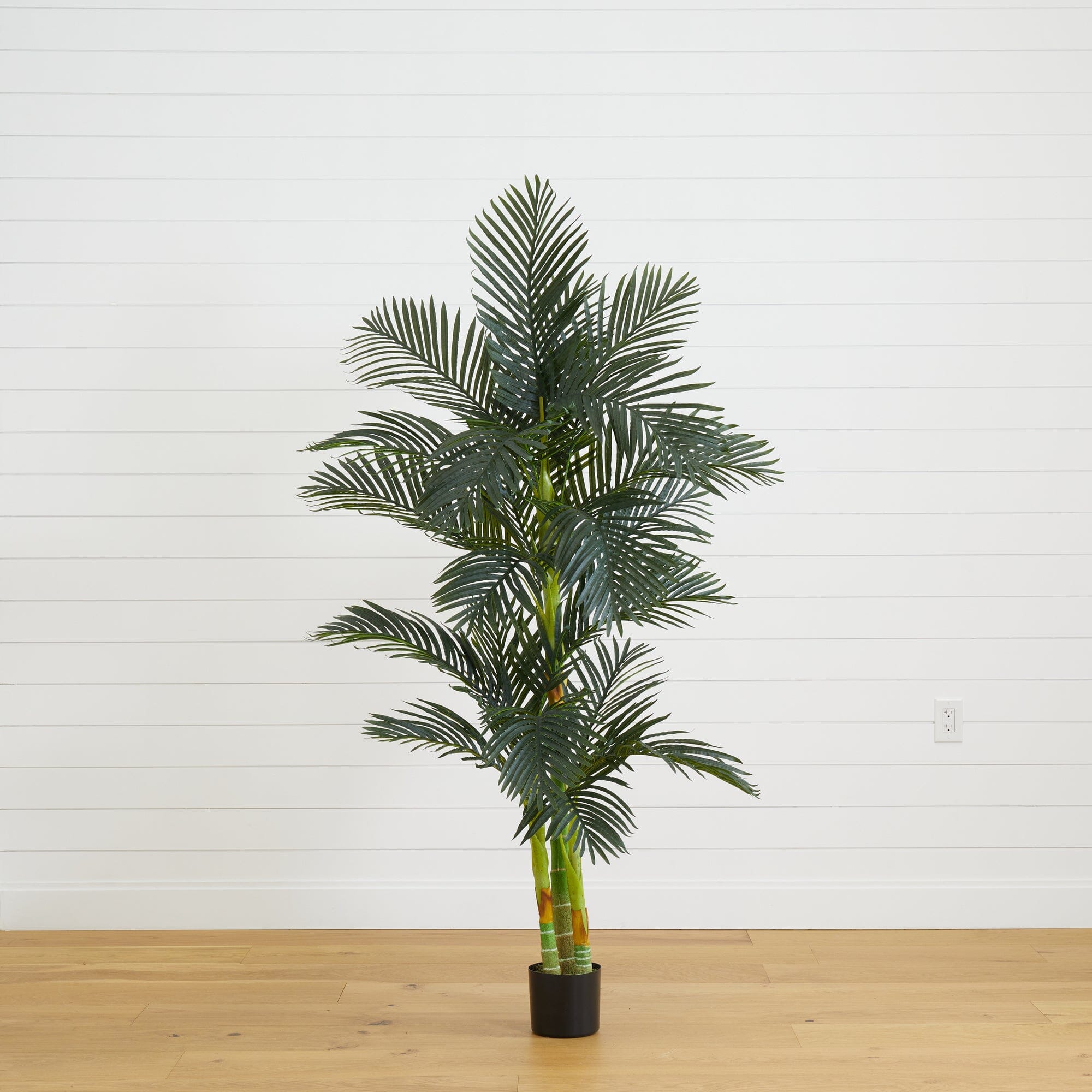 areca palm vs golden cane Nearly Natural 6-ft Golden Cane Artificial Palm Tree