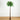 6’ UV Resistant Lighted Artificial Palm Tree with 206 Warm White LED Lights (Indoor/Outdoor)