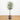 62” Olive Artificial Tree in Ribbed Metal Planter