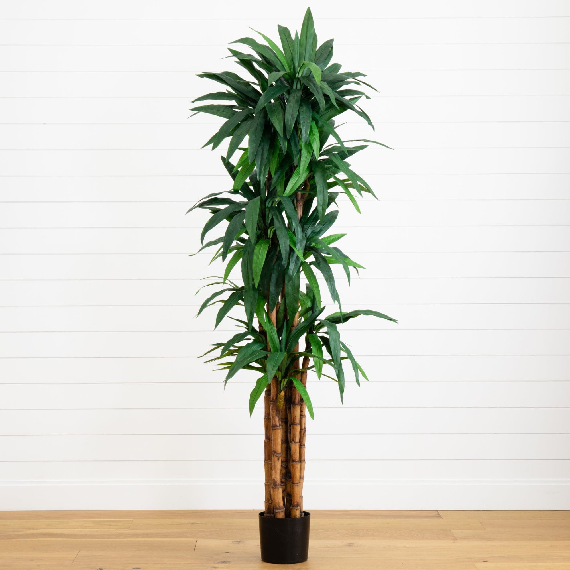dracaena plant tree Nearly Natural 6.5-ft Dracaena Tree