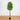 6.5' UV Resistant Artificial Ficus Tree (Indoor/Outdoor)