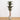 68” Giant Yucca Artificial Tree in Planter (Indoor/Outdoor)