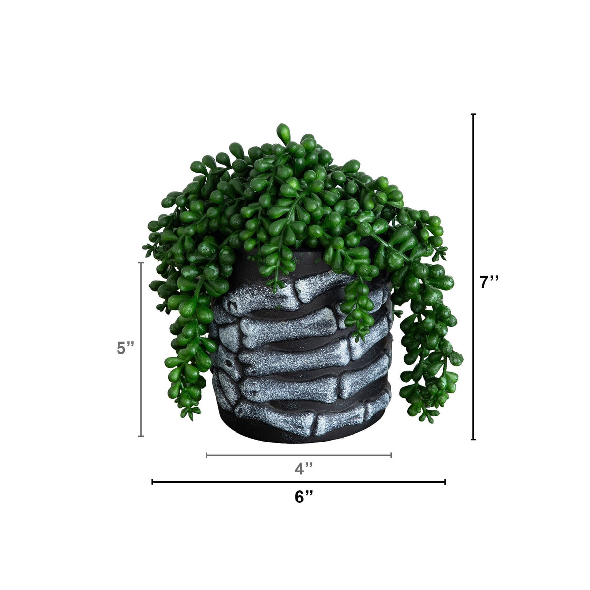 7” Artificial Halloween String of Pearls in Skeleton Hand Planter