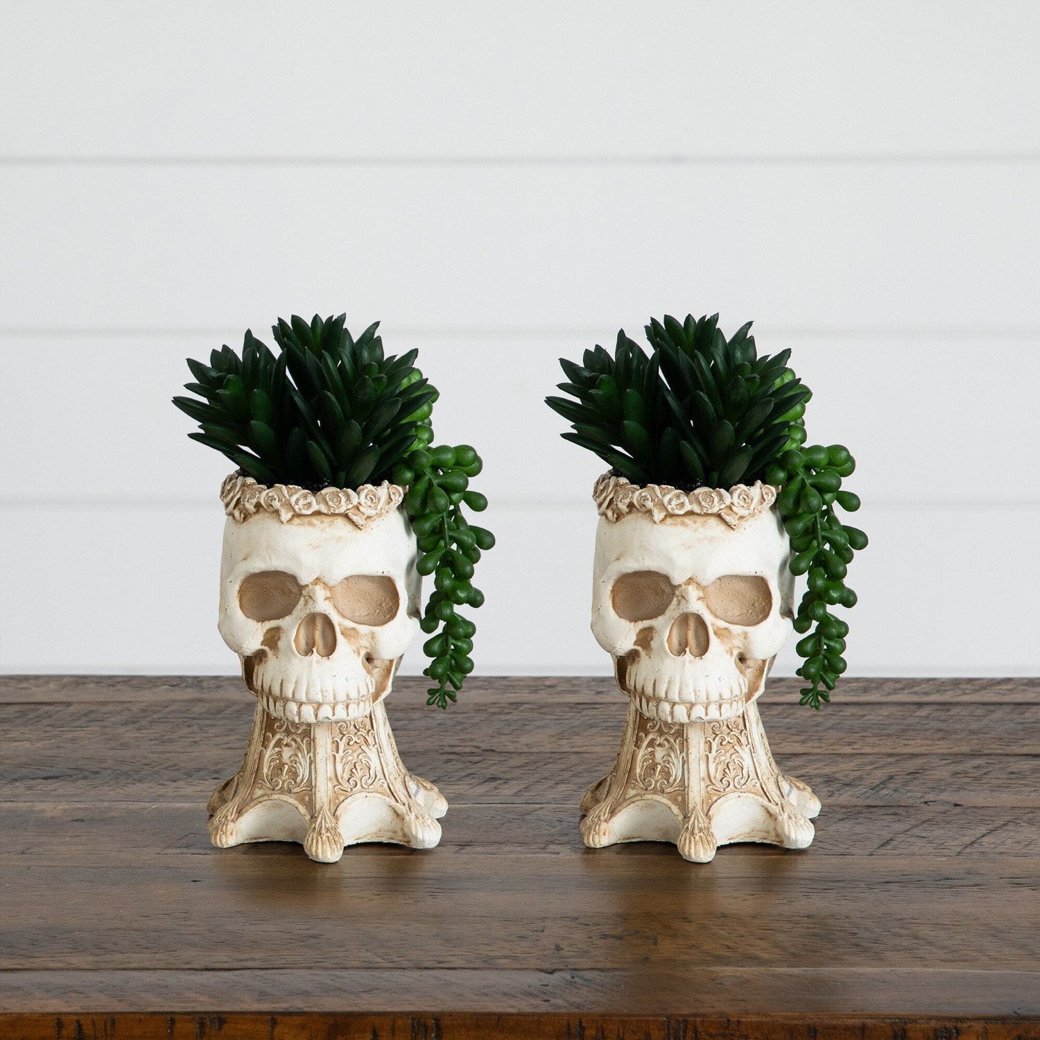 7” Artificial Halloween Succulent Garden in Skull Planter - Set of 2