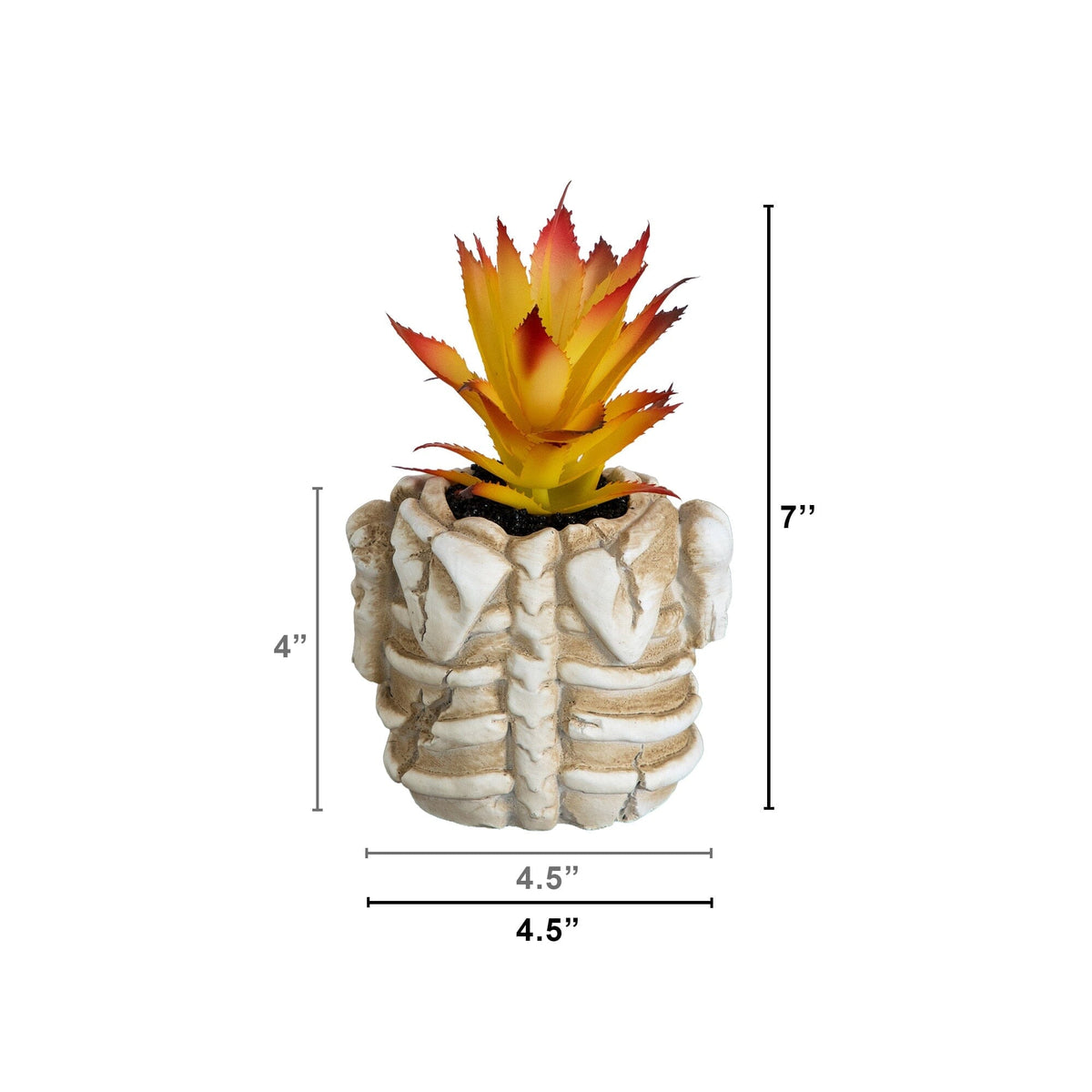 7” Artificial Halloween Succulent Plant in Skeleton Planter