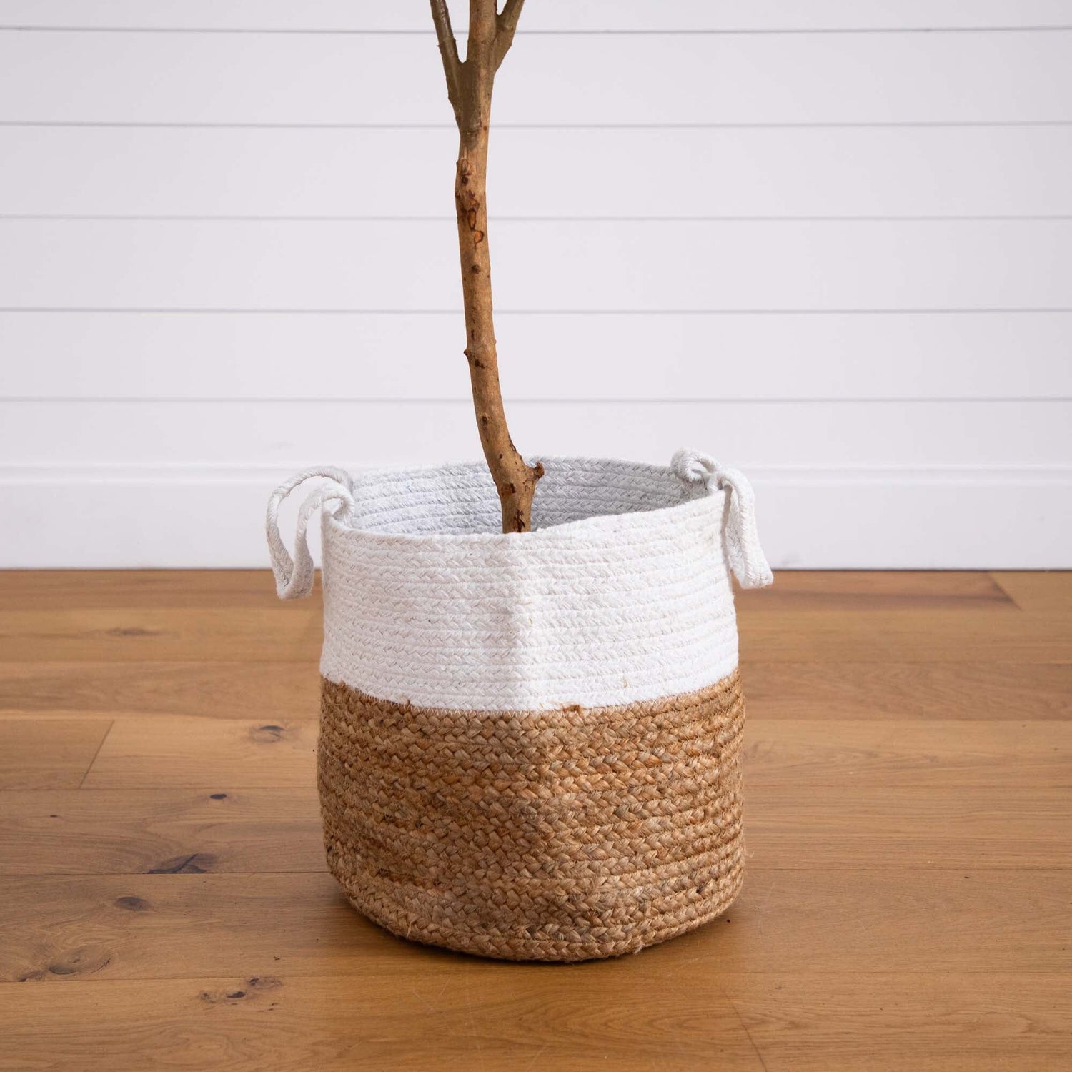 7’ Artificial Olive Tree with Natural Trunk and Handmade Jute Basket