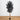 7' Artificial Halloween Black Ficus Tree with Natural Trunk