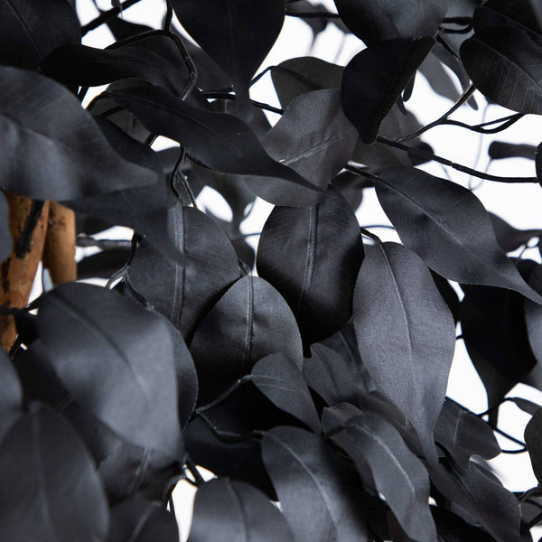 7' Artificial Halloween Black Ficus Tree with Natural Trunk
