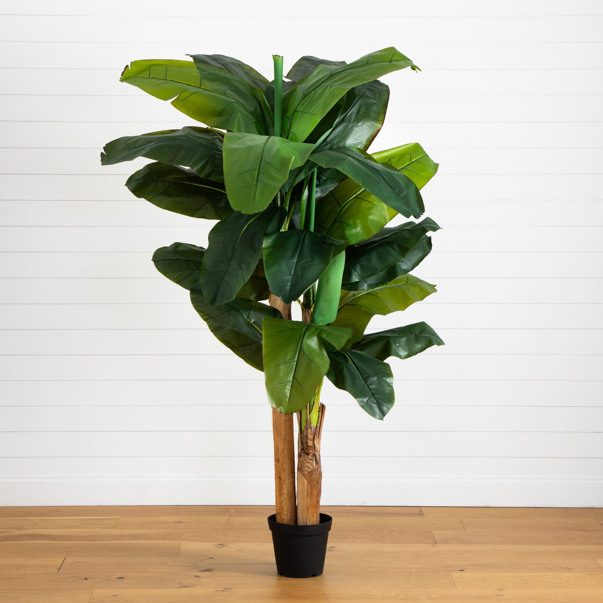 banana plant palm Nearly Natural 7ft. Giant Triple Stalk Banana Tree UV Resistant (Indoor/Outdoor)