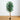 74” Artificial Triple Trunk Ficus Tree with Natural Trunk