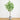 7.5’ Artificial Greco Locust Citrus Tree in Decorative Planter