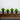 8” Artificial Boxwood Plant in Black Square Pot - Set of 4