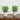 8" Artificial Greenery in Decorative Planter - Set of 2