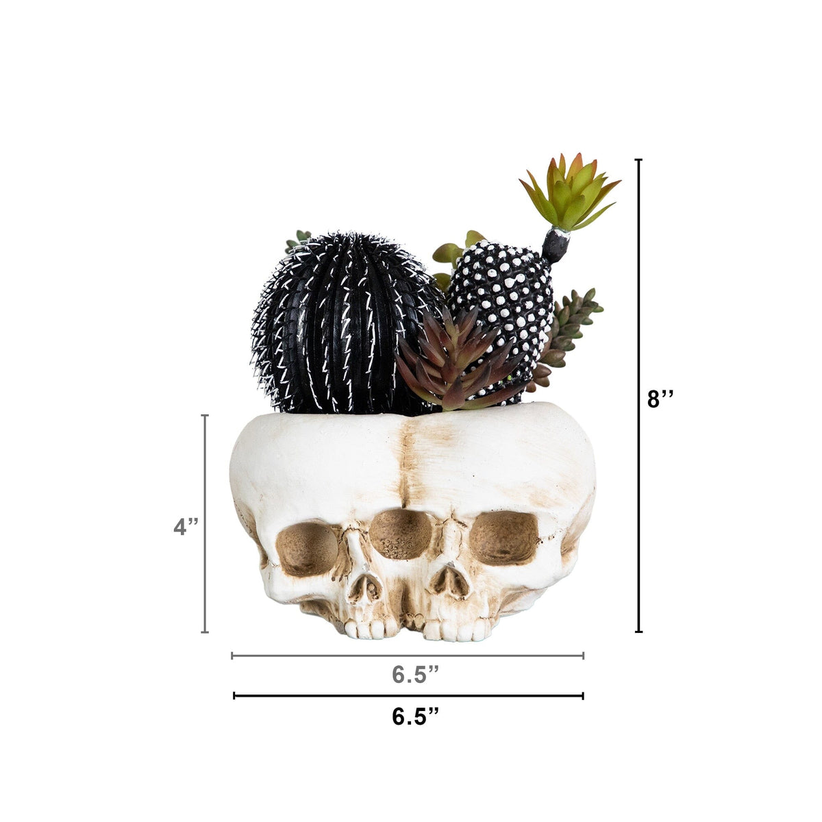 8” Artificial Halloween Succulent Garden in Double Skull Planter
