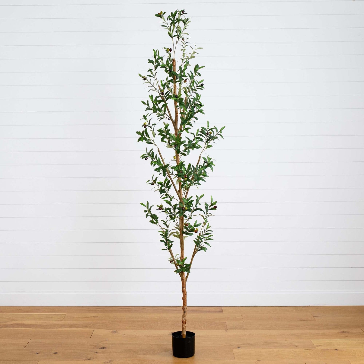 8' Artificial Olive Tree with Natural Trunk