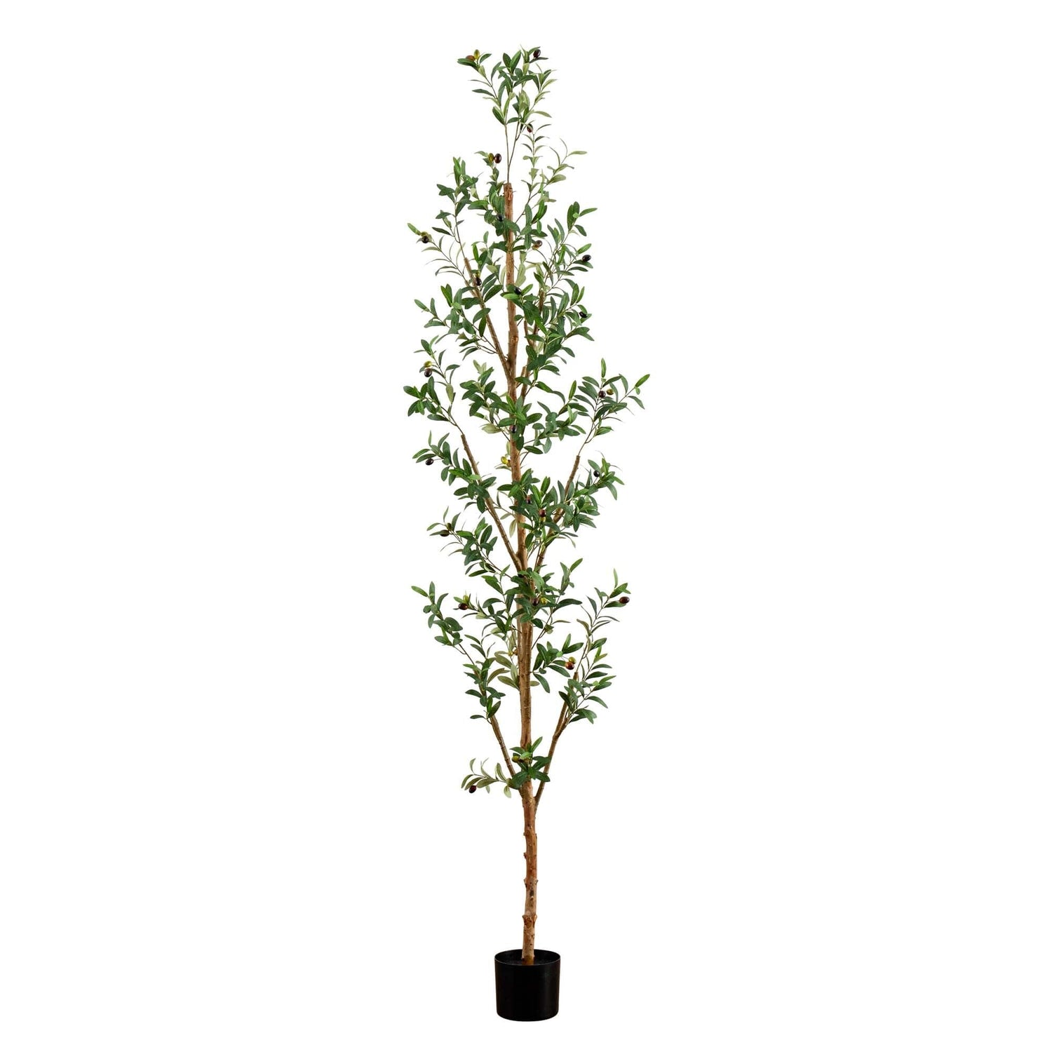 8' Artificial Olive Tree with Natural Trunk