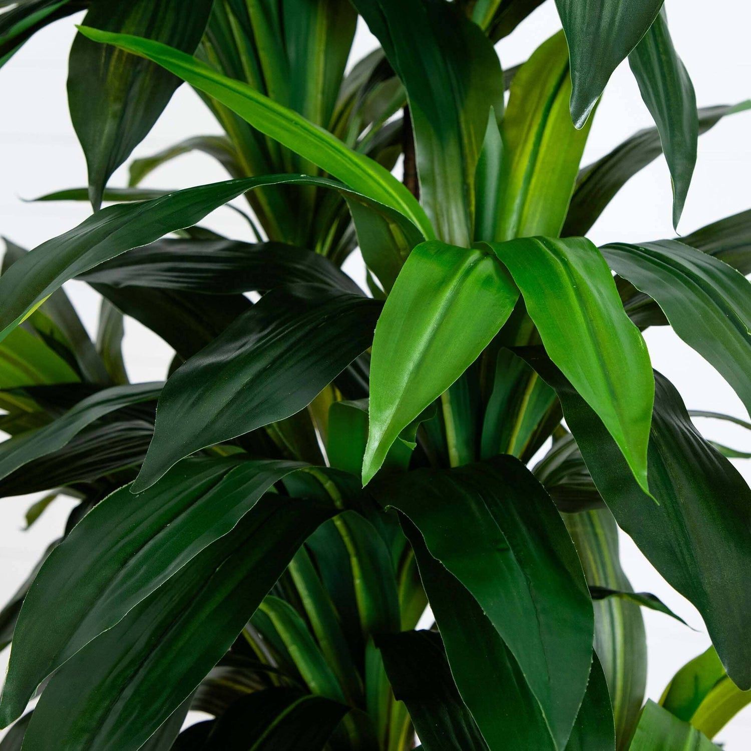 9’ Artificial Dracaena Tree with Real Touch Leaves
