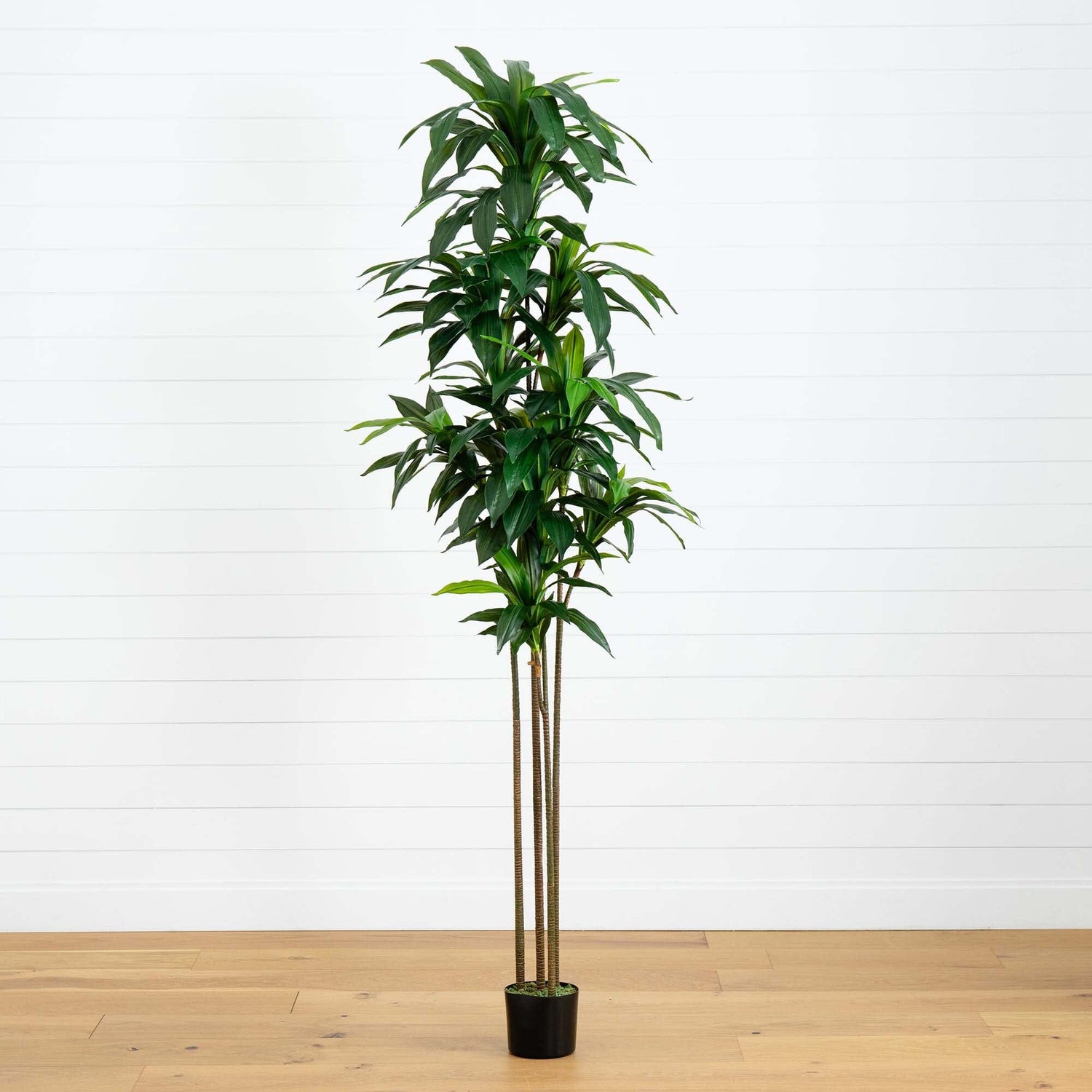 9’ Artificial Dracaena Tree with Real Touch Leaves