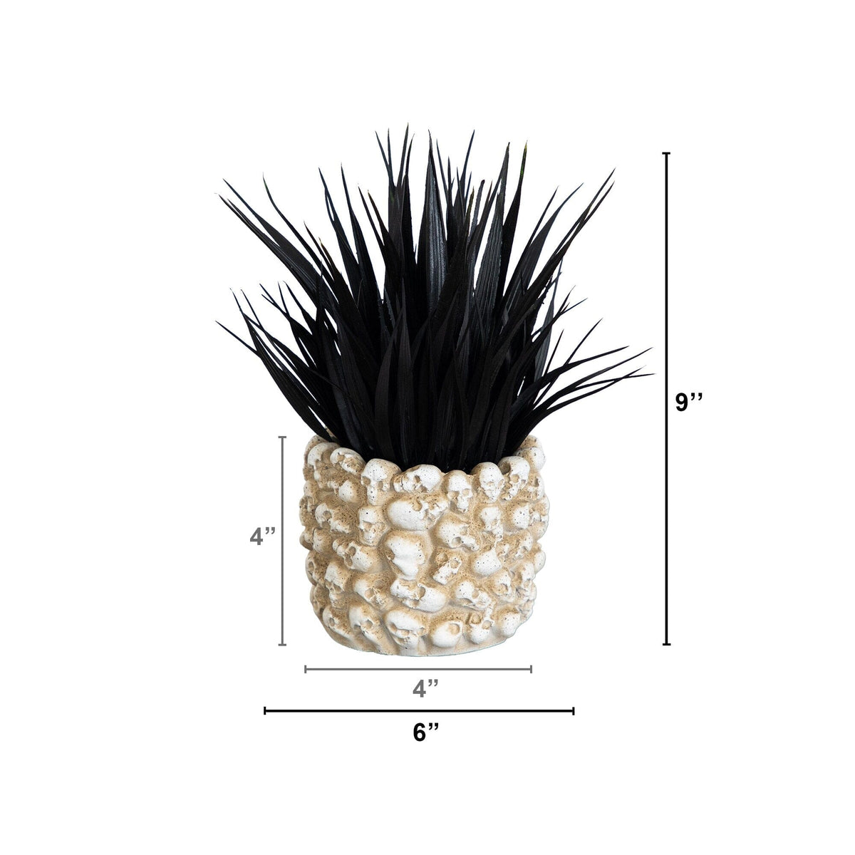 9” Artificial Halloween Black Succulent Plant in Gothic Skull Planter