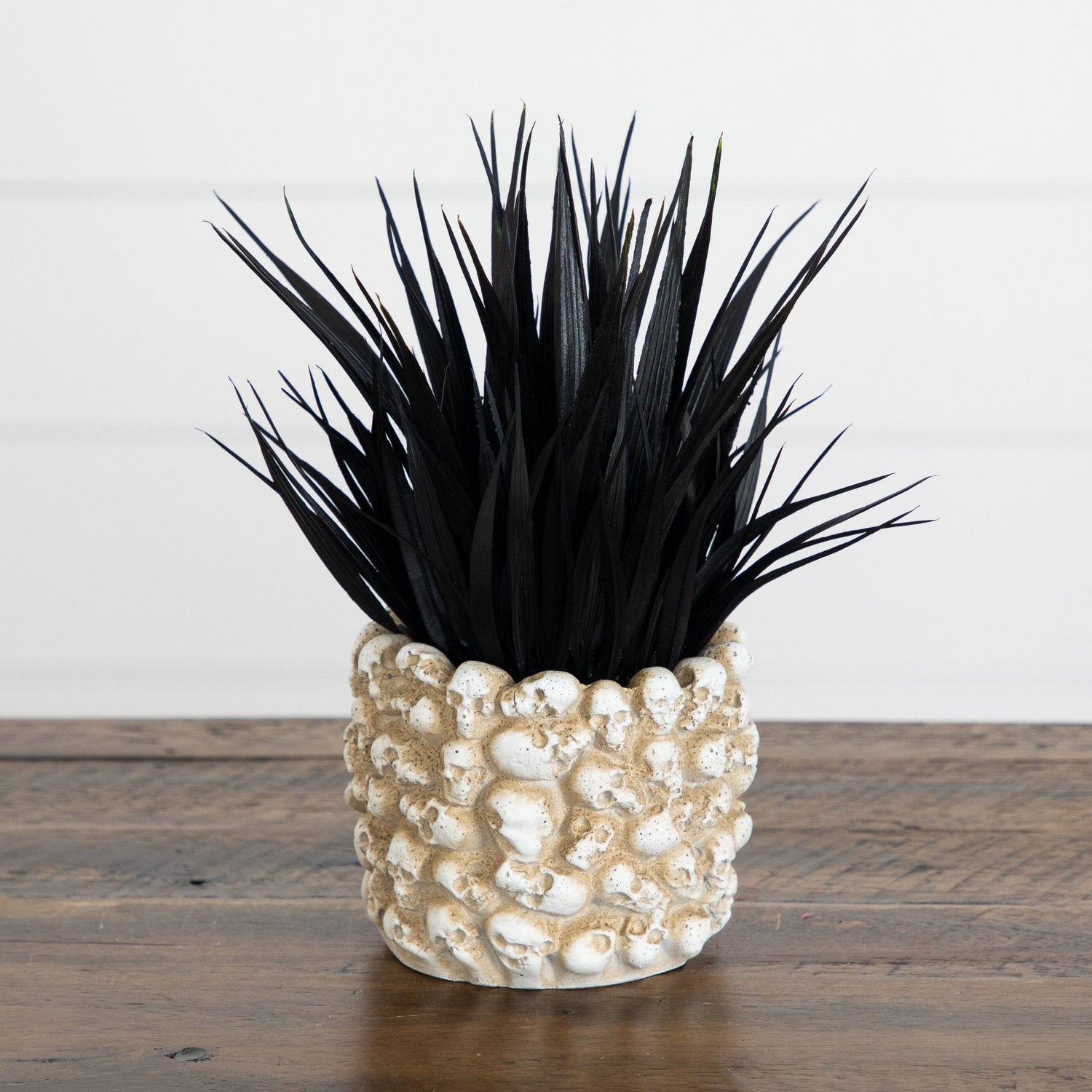 9” Artificial Halloween Black Succulent Plant in Gothic Skull Planter