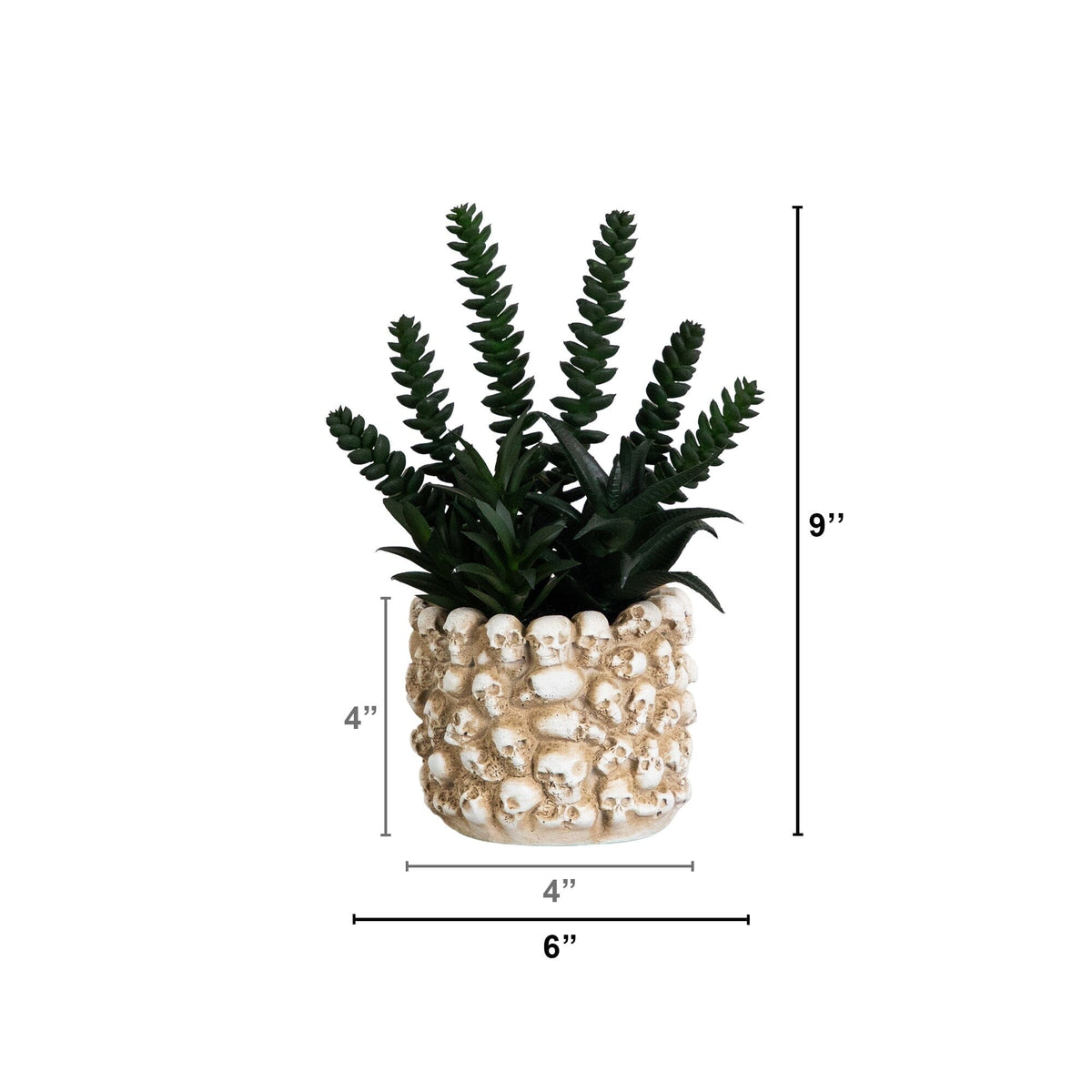 9” Artificial Halloween Succulent Garden in Gothic Skull Planter