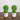 9" Artificial Mini Eucalyptus Ball Topiary in Cement Planter -Set of 2
