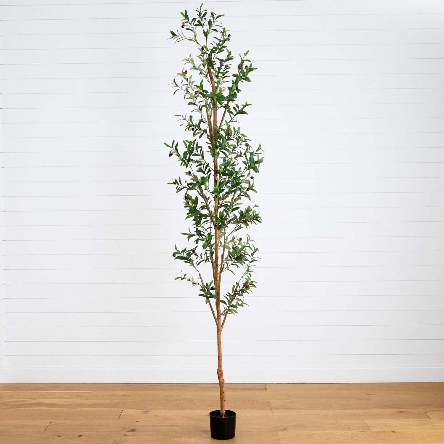 9' Artificial Olive Tree with Natural Trunk