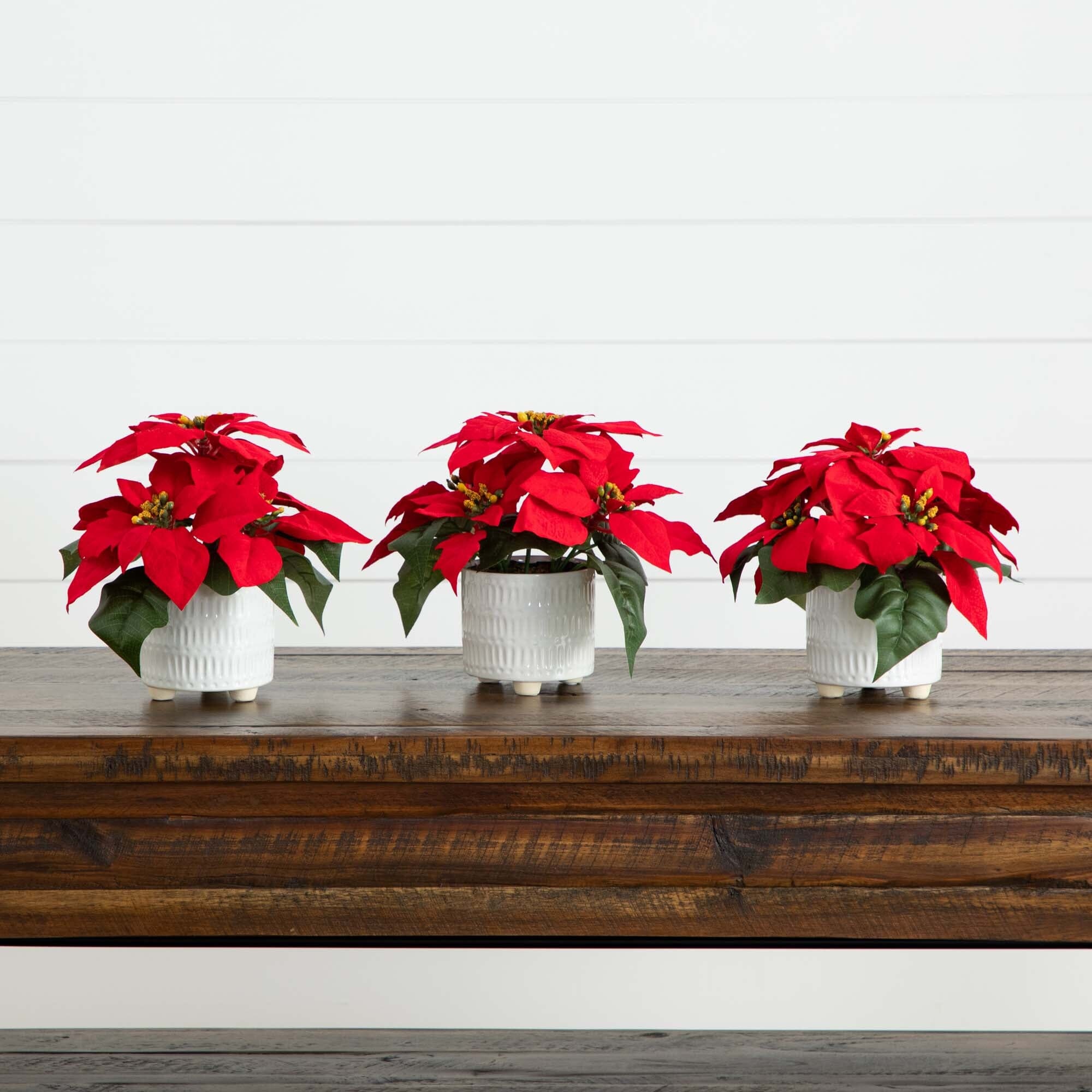 artificial potted poinsettia plants 9” Artificial Poinsettia Arrangements in White Ceramic Pots - Set of 3