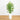 Bamboo Tree with White Planter UV Resistant (Indoor/Outdoor)