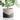 Summit Planter