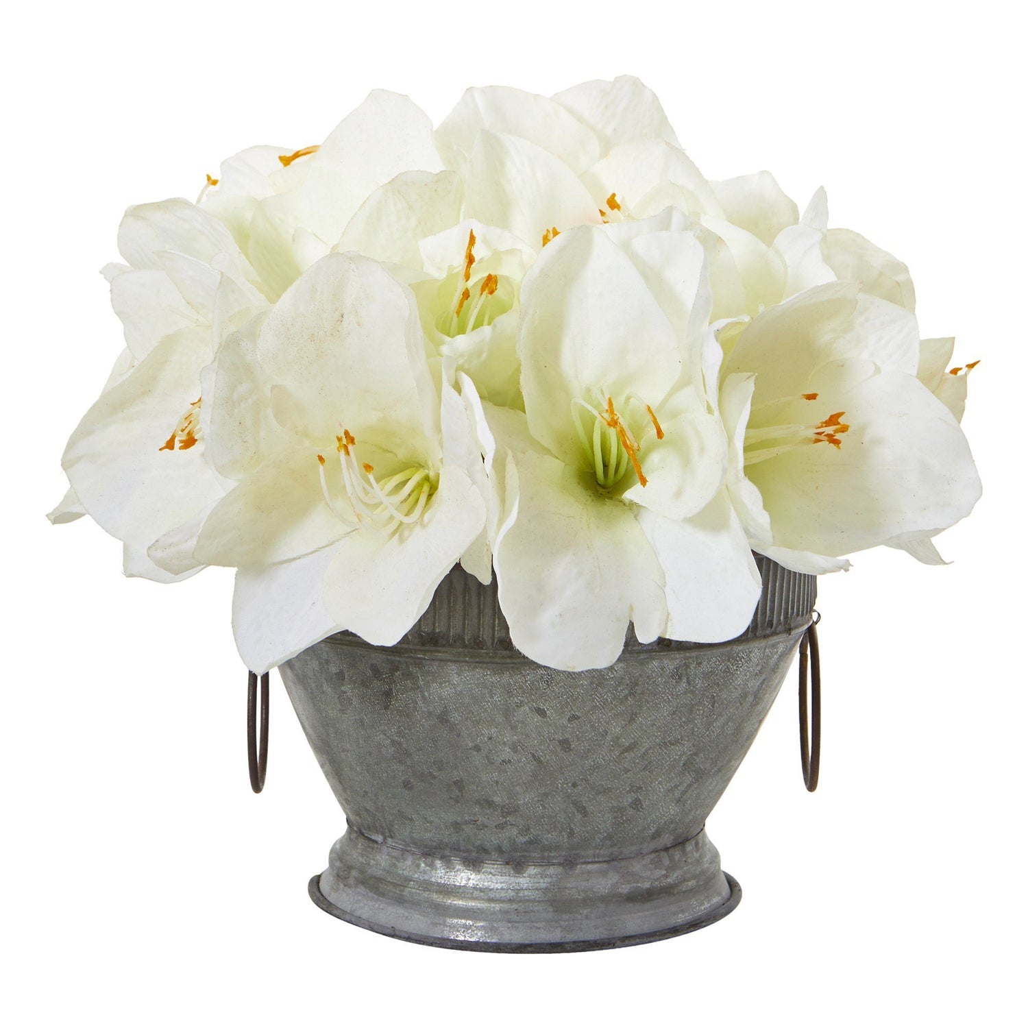 10” Amaryllis Arrangement in Bowl with Copper Trimming