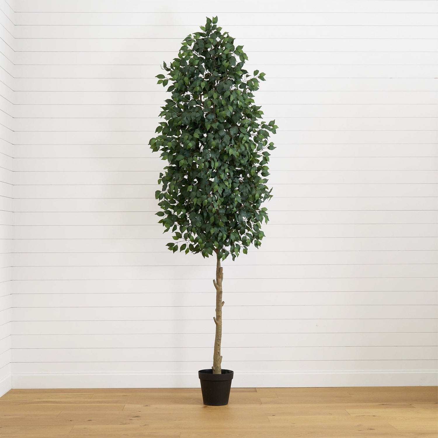 10’ Artificial Ficus Tree