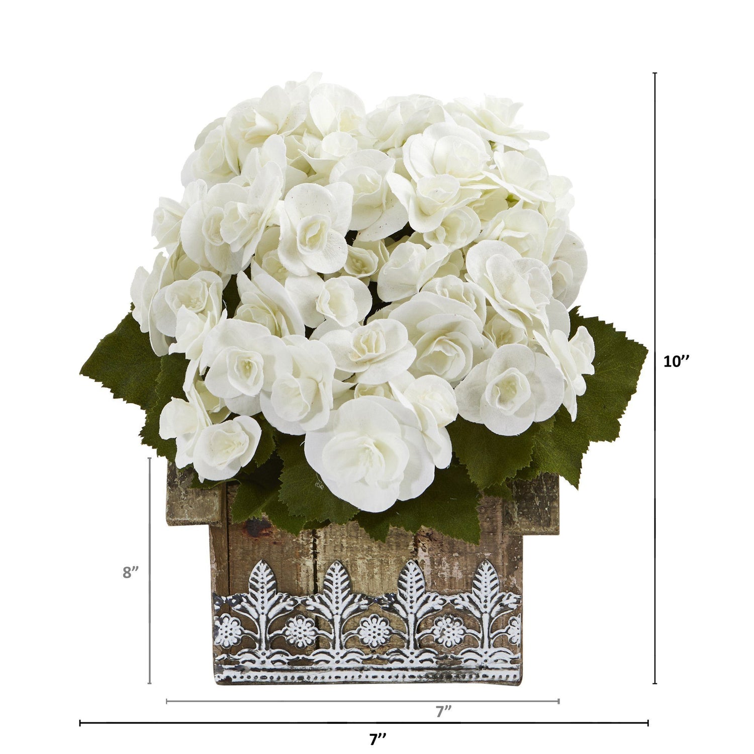 10” Begonia Plant in Hanging Floral Design House Planter