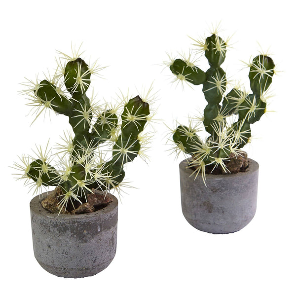 10” Cactus Potted (Set of 2)