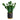 10” Cactus Succulent Artificial Plant in Planter
