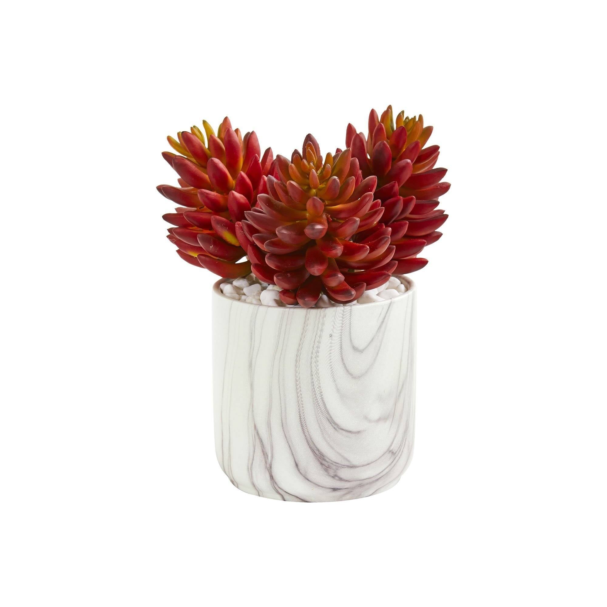 marble succulent 10” Succulent Artificial Plant in Marble Finish Vase