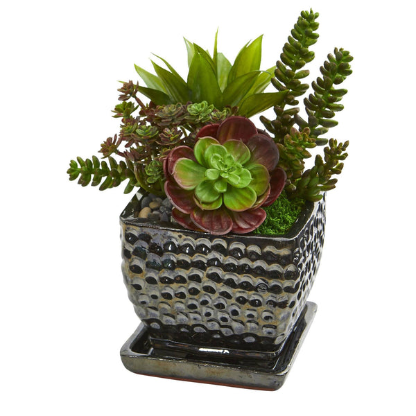 10" Succulent Garden Artificial Plant in Black Planter"