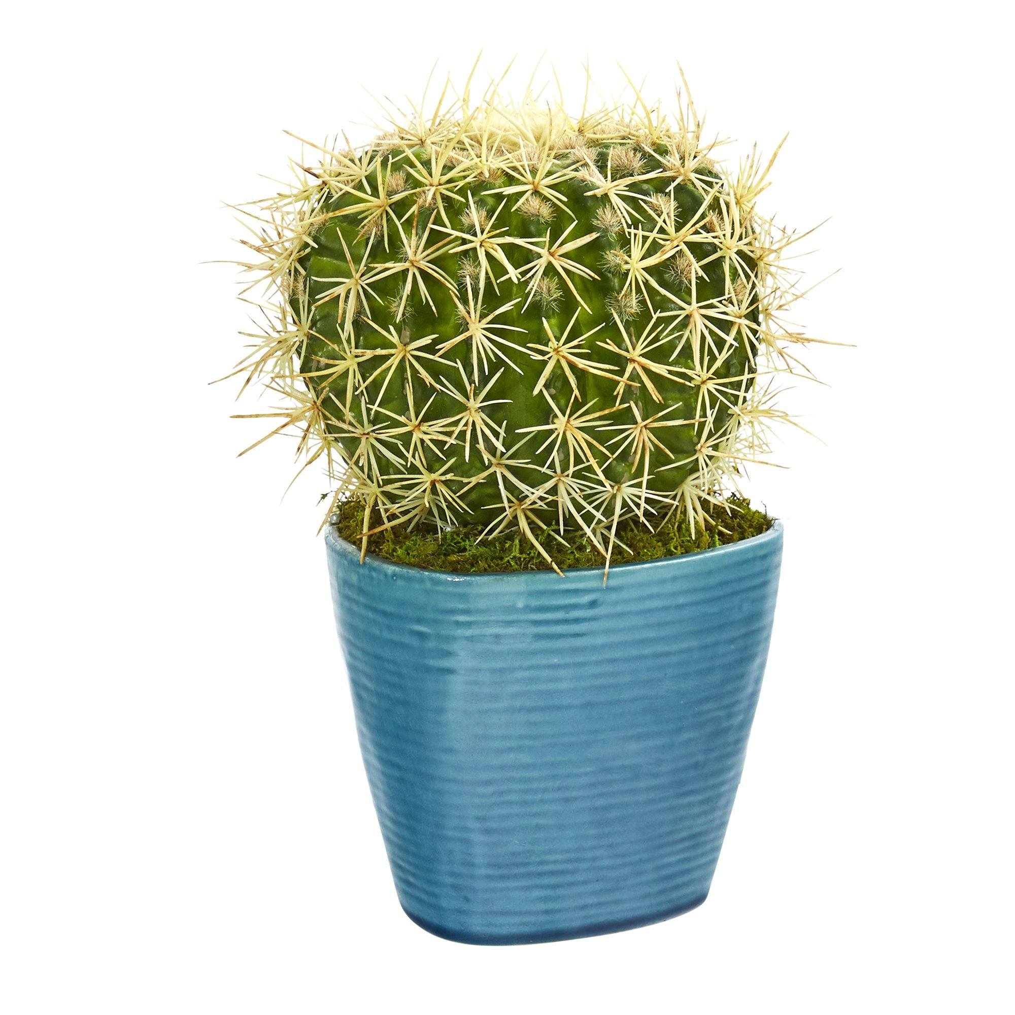 artificial plant in blue pot 11” Cactus Succulent Artificial Plant in Blue Planter