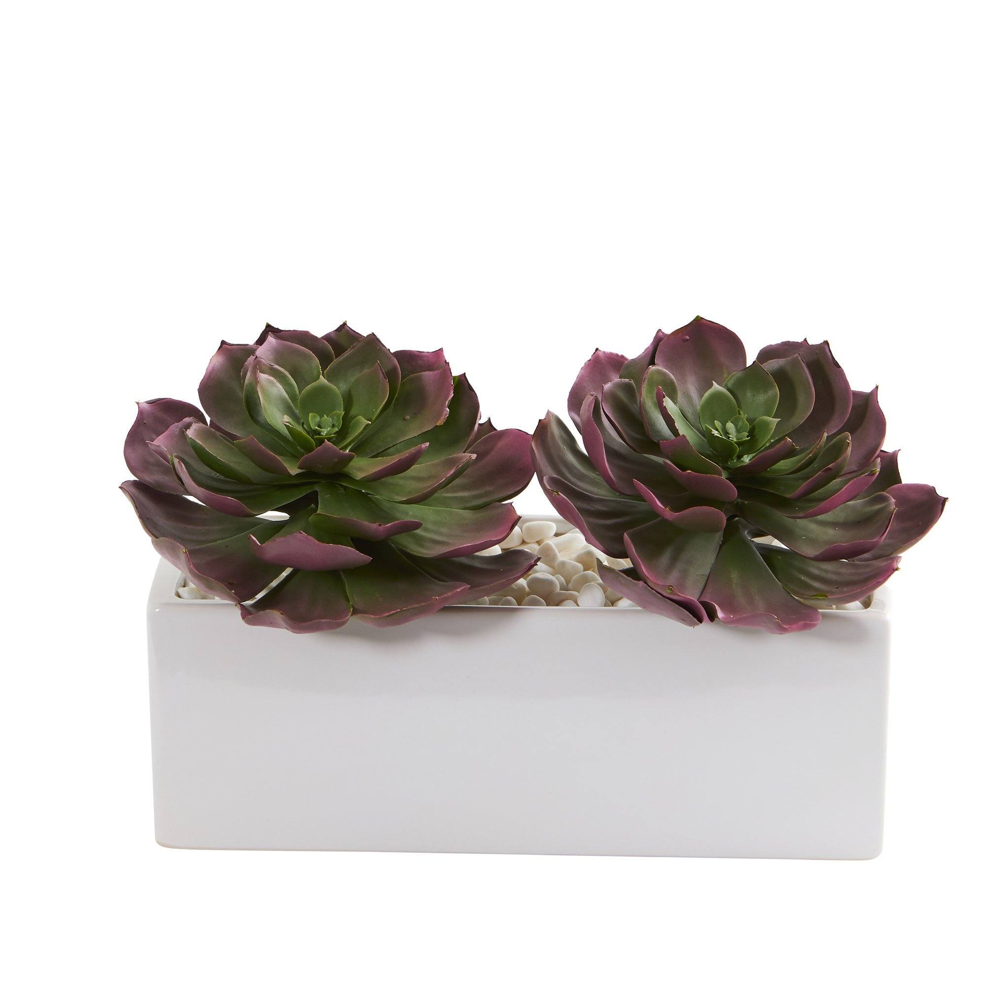 faux succulent box 11” Echeveria Succulent Artificial Plant in White Planter