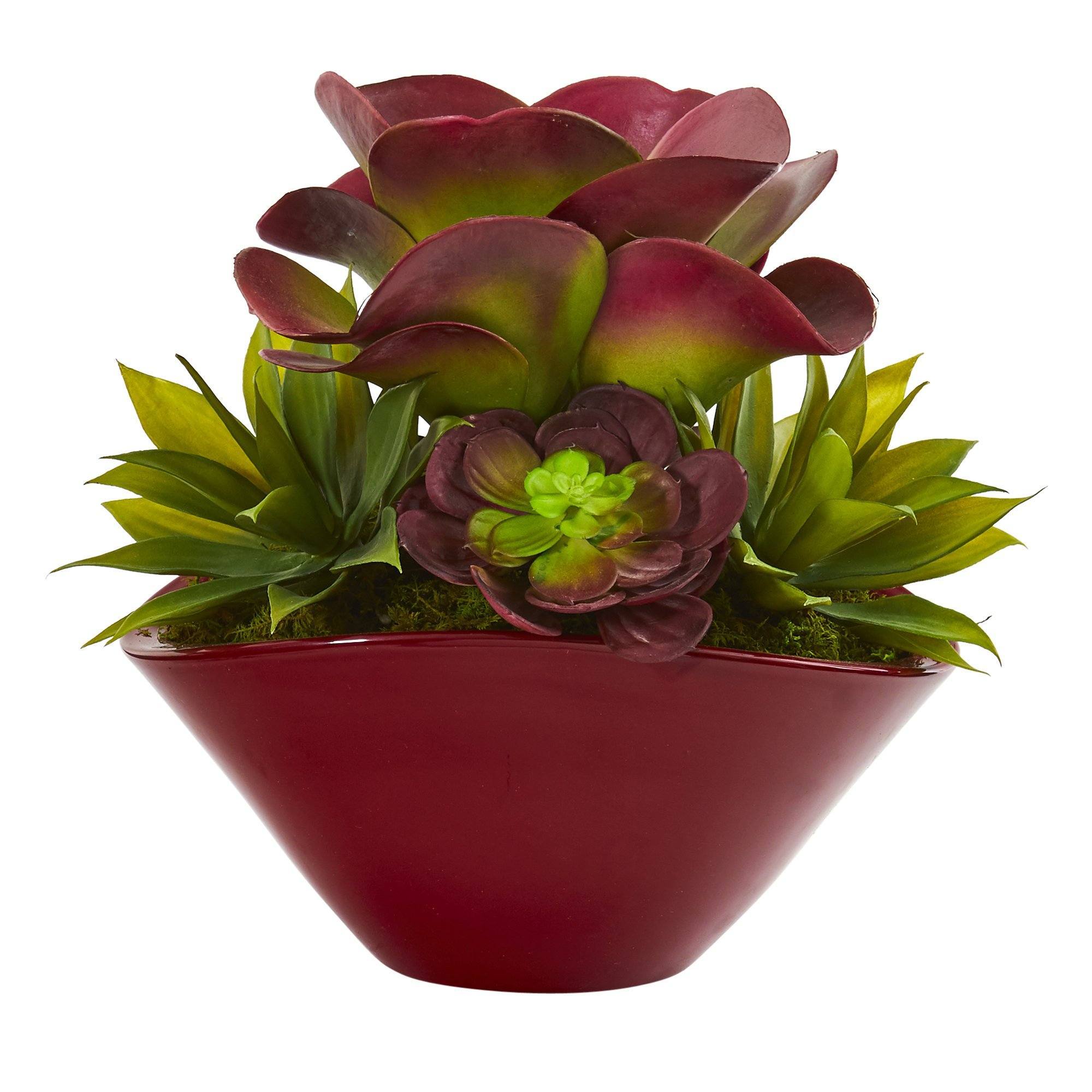 large fake succulent 11” Mixed Succulent Artificial Plant in Burgundy Planter