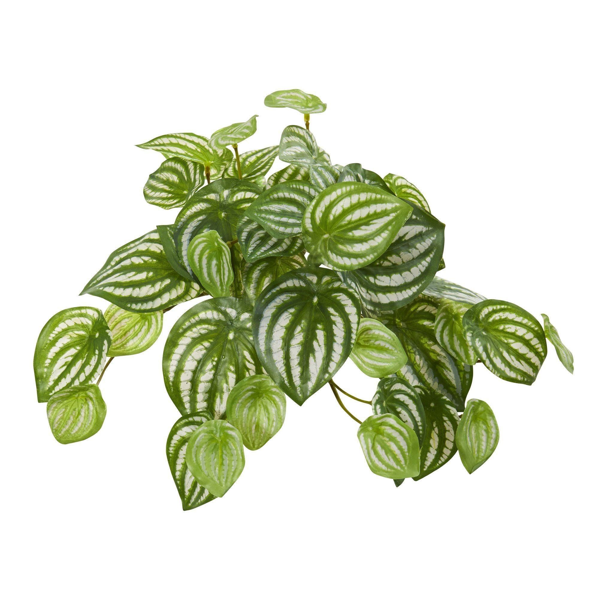watermelon hanging plant Nearly Natural 11in. Watermelon Peperomia Hanging Artificial Bush Plant (Set of 12) (Real Touch)