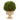 12” Boxwood Topiary Ball Preserved Plant in Decorative Urn
