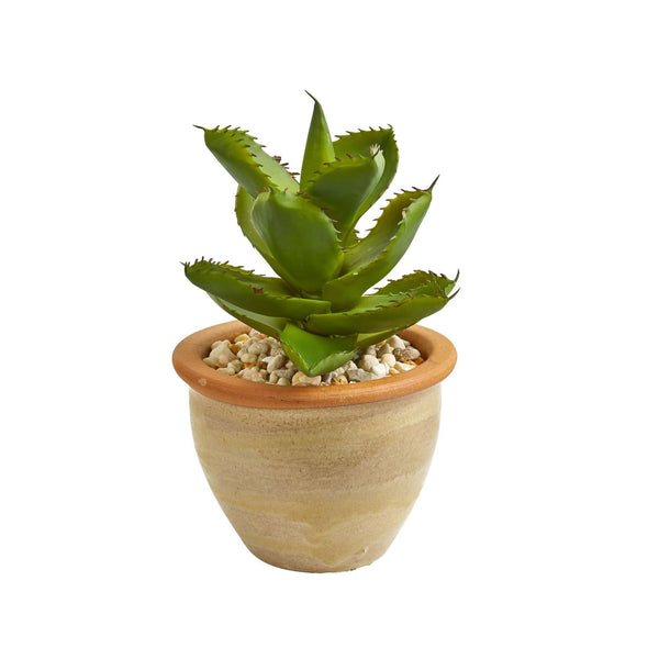 12” Succulent Artificial Plant in Glazed Ceramic Vase (Set of 2)