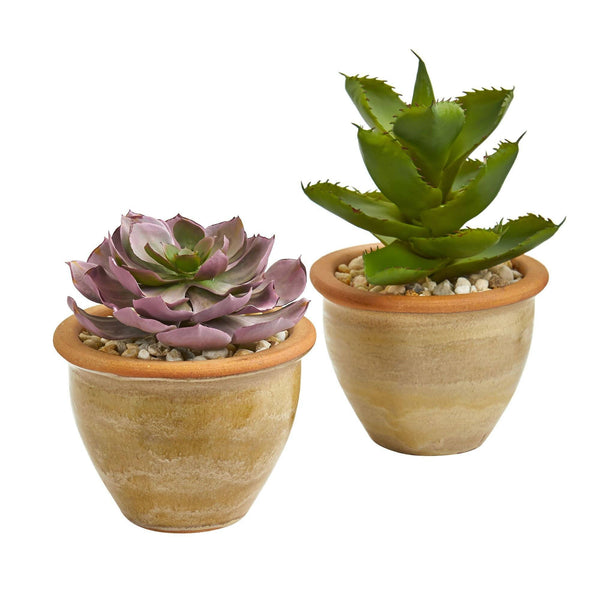 12” Succulent Artificial Plant in Glazed Ceramic Vase (Set of 2)
