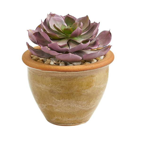 12” Succulent Artificial Plant in Glazed Ceramic Vase (Set of 2)