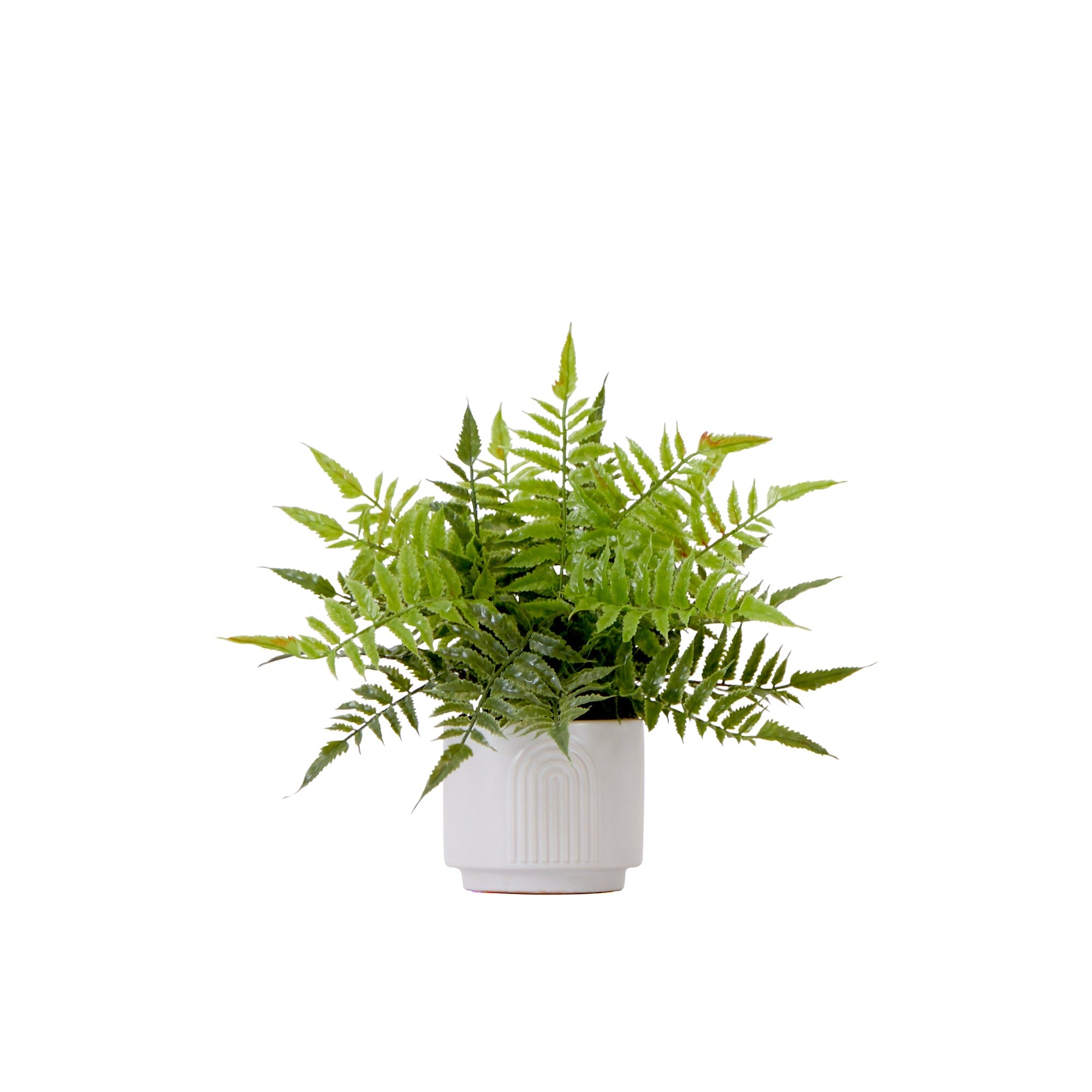 13" Artificial Boston Fern Plant with Decorative Planter | Nearly Natural