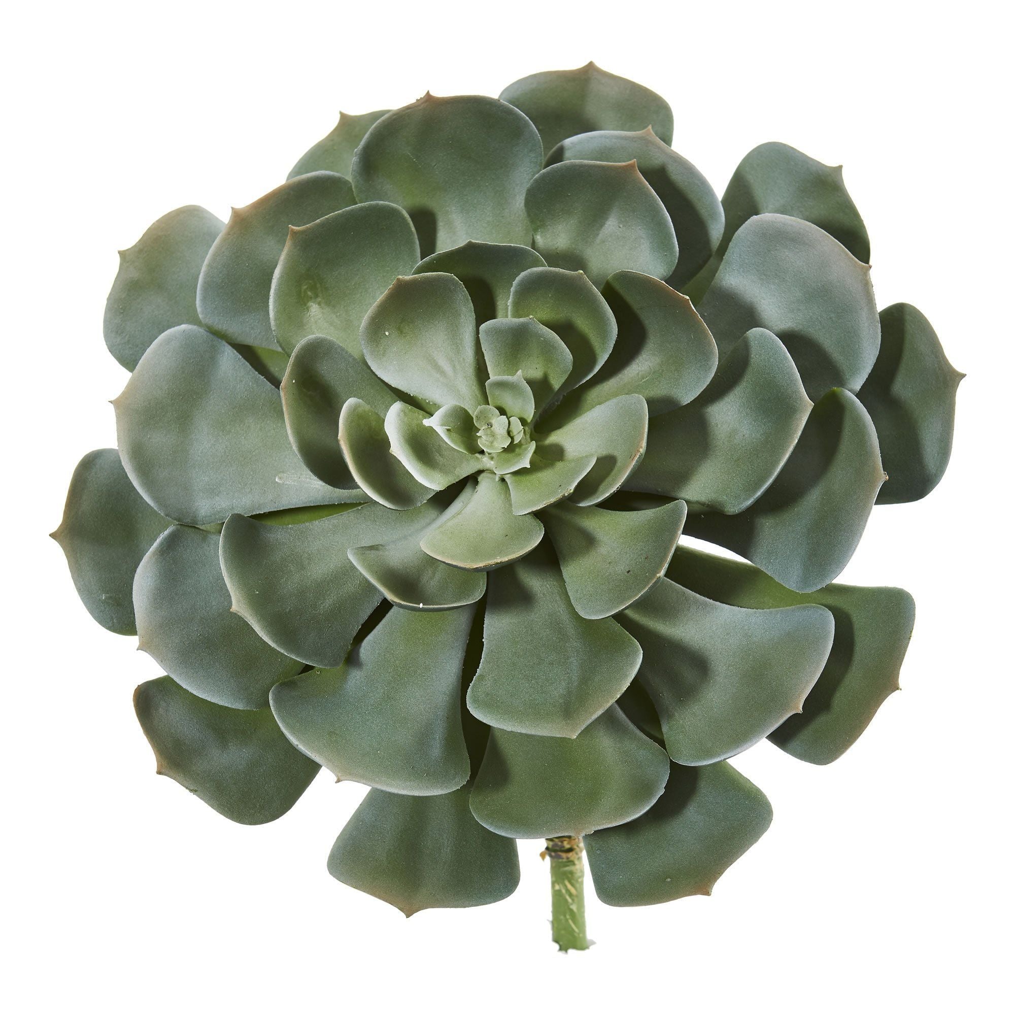 Nearly Natural 13in. Giant Echeveria Succulent Pick Artificial Plant (Set of 2)