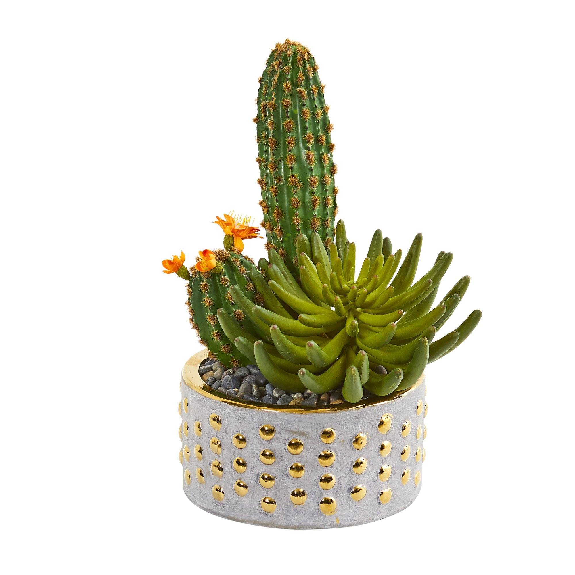 wilko succulents 13” Mixed Succulent and Cactus Artificial Plant in Decorative Planter