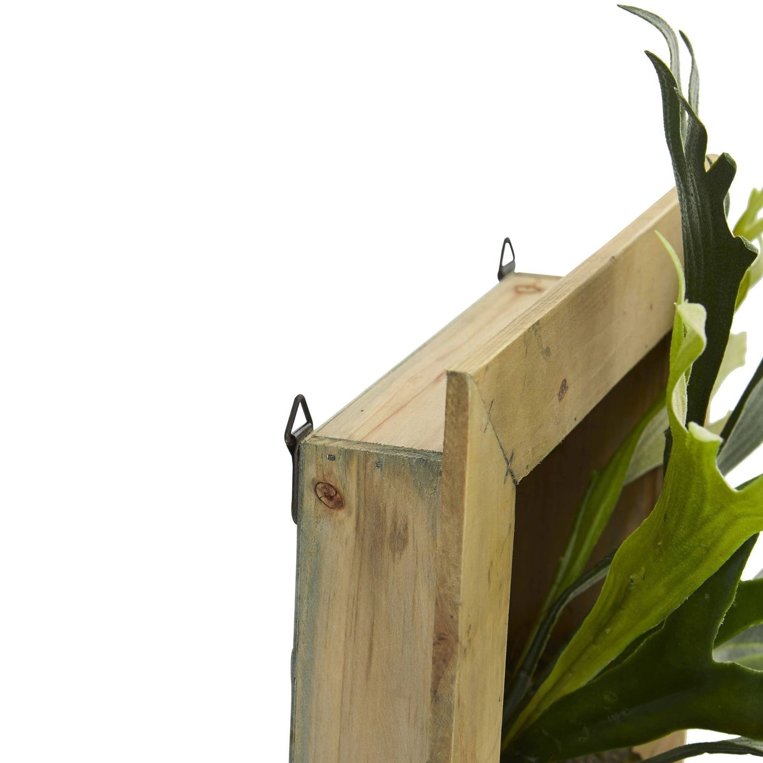 13” Staghorn Artificial Plant in Wood Hanging Frame